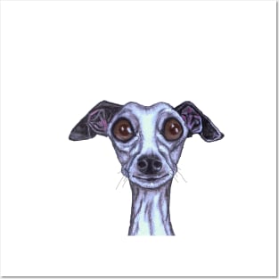 ITALIAN GREYHOUND Posters and Art